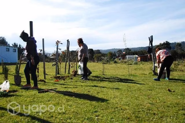 Terreno y casa en Curiñanco Valdivia - Imagen 5