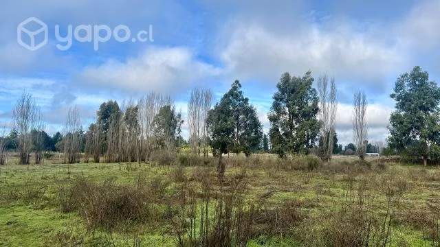 Venta terreno Quillón (media hectárea)