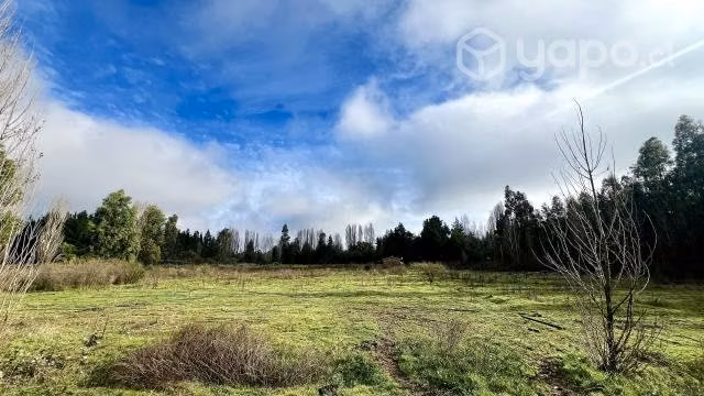 Venta terreno Quillón (media hectárea)