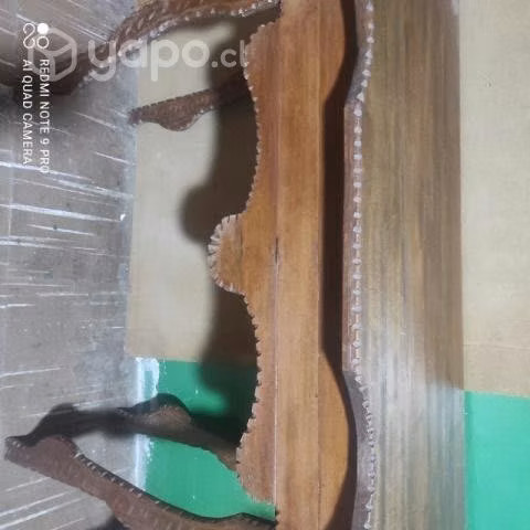 Permuto por salamandra - Imagen 4