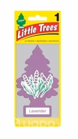 Pino little trees lavanda americano