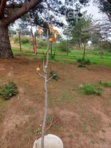 Vendo parcela - Imagen 11