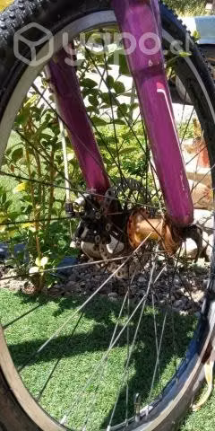 Bicicleta lahsen - Imagen 2