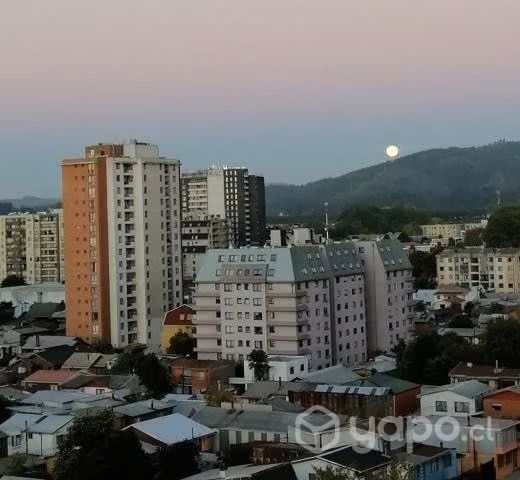 Administrador de Edificios y Condominios