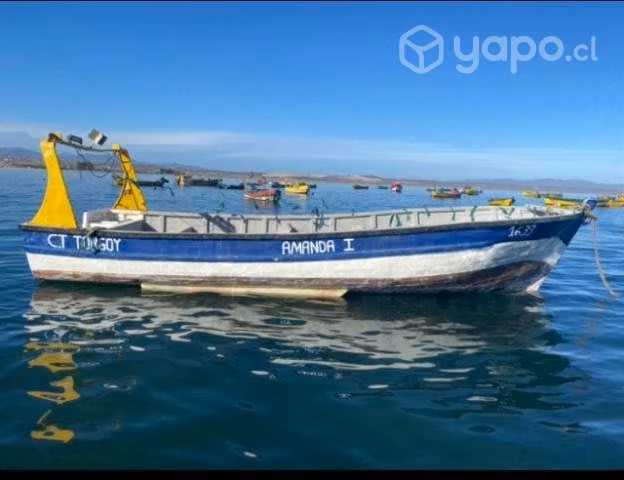 Bote lancha pesca jibia