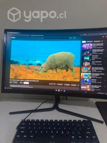 Pantalla marca Viewsonic 24 pulgadas