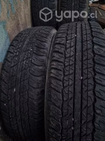 Neumatico camioneta dunlop