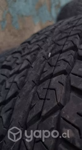 Neumatico camioneta dunlop