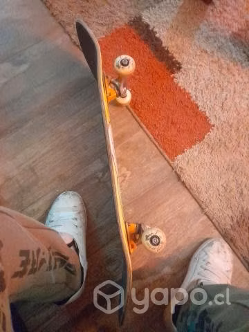 Skate o permuto - Imagen 2