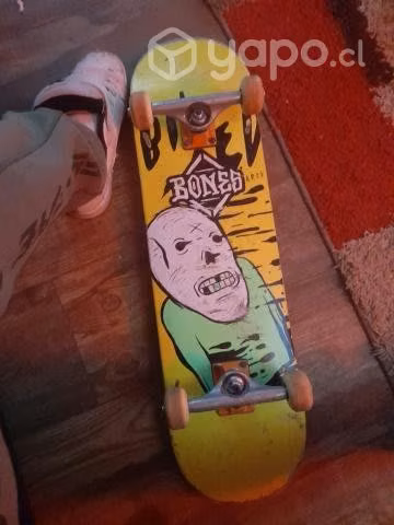 Skate o permuto - Imagen 3