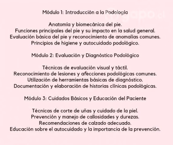 Mca formación integral spa