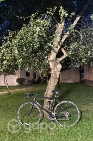 Bicicleta Velo P3