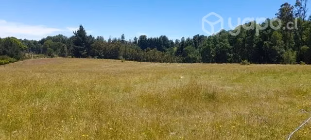 Venta parcela 10.000 mts2.Licanray
