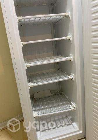 Frezzer vertical 300 lts - Imagen 4