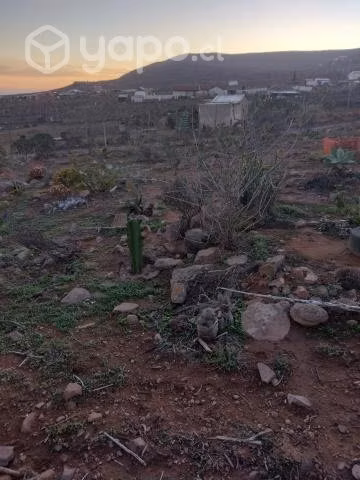 Parcela, salida norte de La Serena