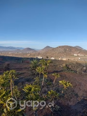 Parcela, salida norte de La Serena