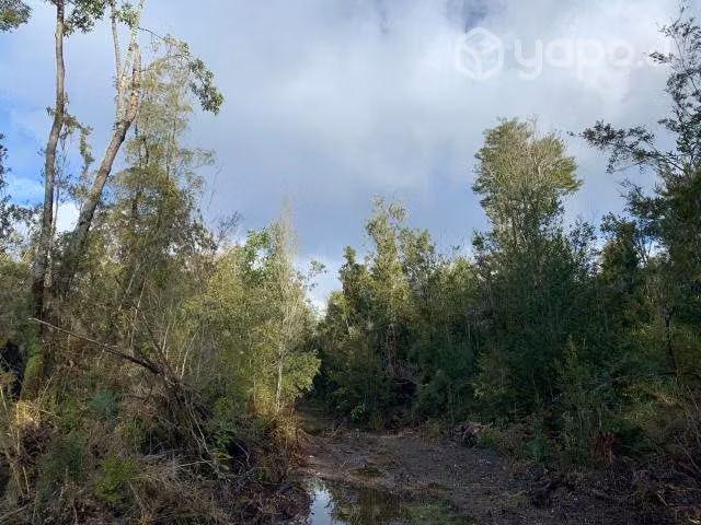 Terreno en Butalcura, Dalcahue, Chiloé