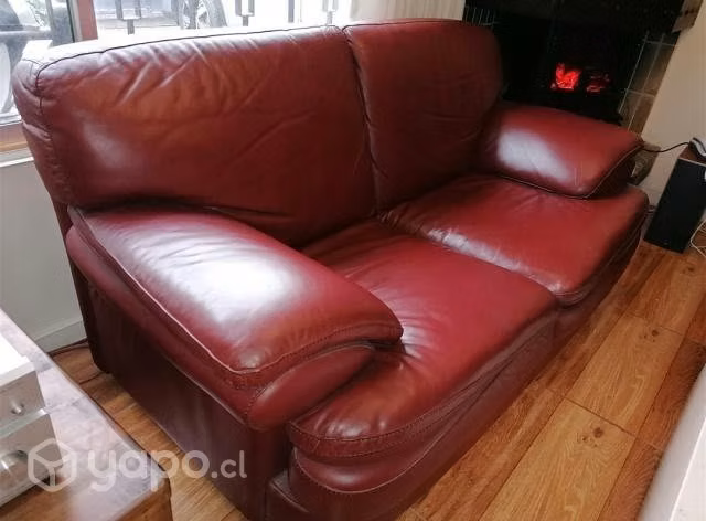 Sofás de cuero de 2 cuerpos