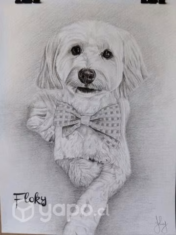 Retratos de mascotas - Imagen 6