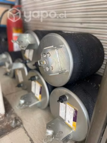 Pulmon de suspension trasero II