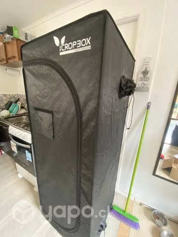 Kit Indoor 60x60 + LED Piranha Tesla T360W