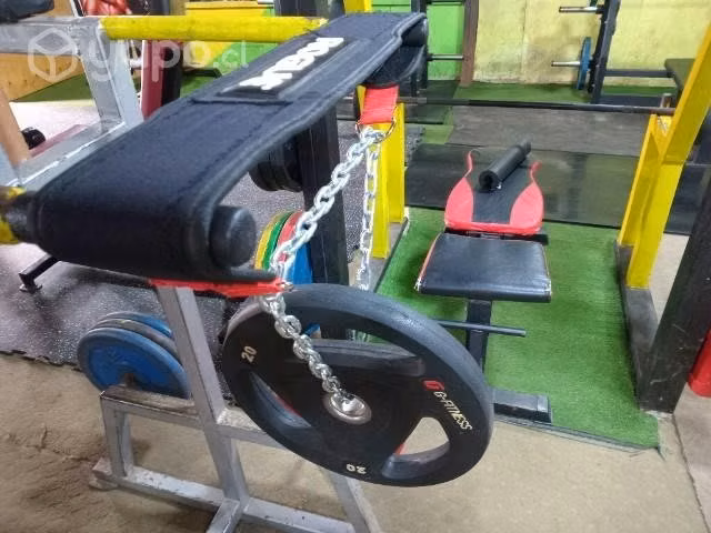 Cinturon Lastre/Calistenia gym