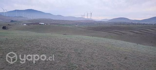 Parcela 10.000 m2 sector los ciénagos, ovalle