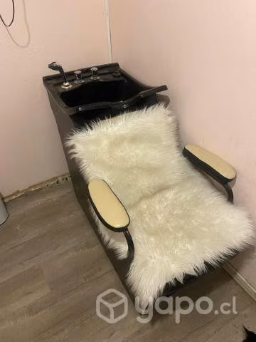 Sillón Lavapelo - Imagen 2
