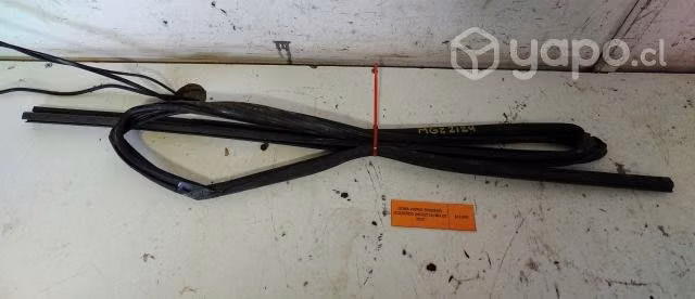 Goma Vidrio Trasero Izquierdo (MGZ2124) MG ZS 2020