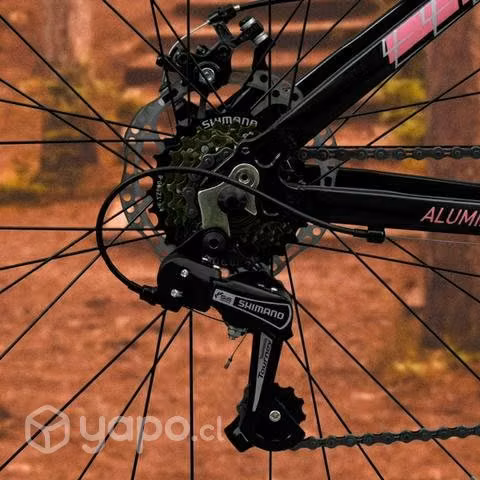Bicicleta Oxford Emerald - Imagen 3
