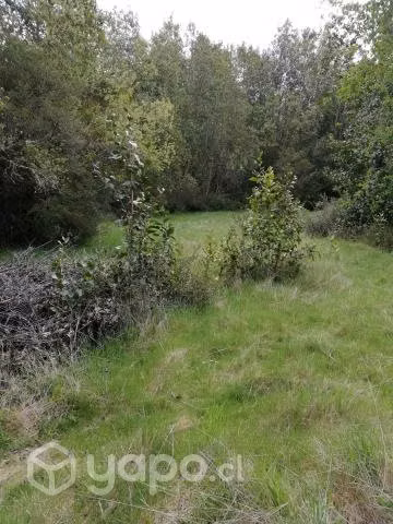 Se vende 1000m2 acciones y derecho