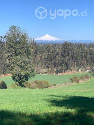 2.5 hectáreas de campo a orilla - Imagen 2