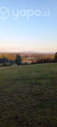 2.5 hectáreas de campo a orilla