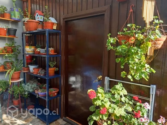 Dpto céntrico