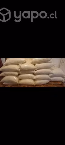 Leche para ternero