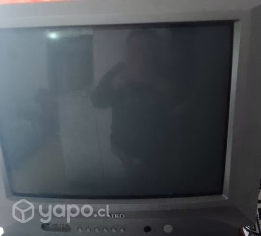 Tv21 pulgadas excelwnte estado