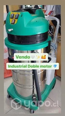 Limpia Tapiz
