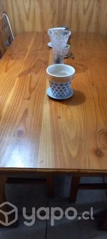 Comedor