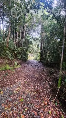 Parcela con 2 lotes de 5.000 m2 (10.000 m2)