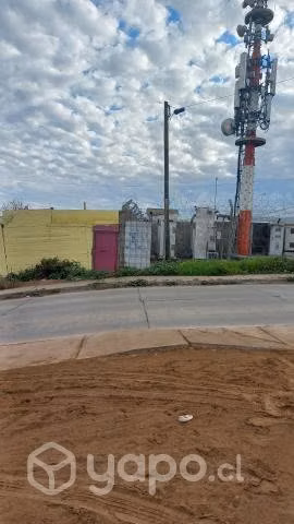Sitio en las compañías la serena oportunidad