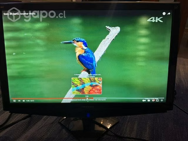 Monitor FHD Viewsonic VA2448M - Imagen 2