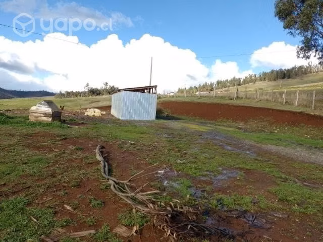 Se vende campo 10.,47 hectáreas