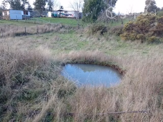 Se vende campo 10.,47 hectáreas