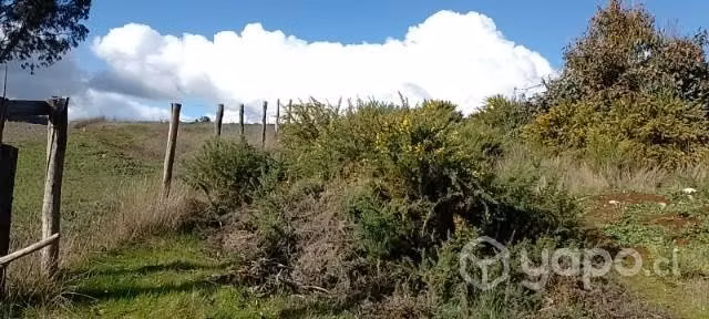Se vende campo 10.,47 hectáreas