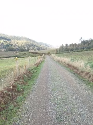 Se vende campo 10.,47 hectáreas