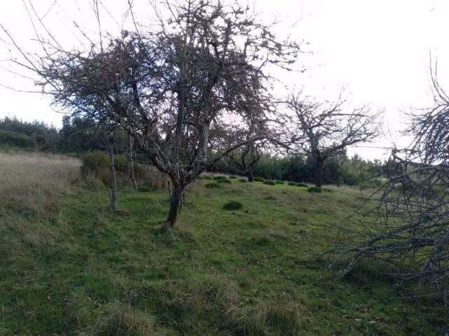 Se vende campo 10.,47 hectáreas