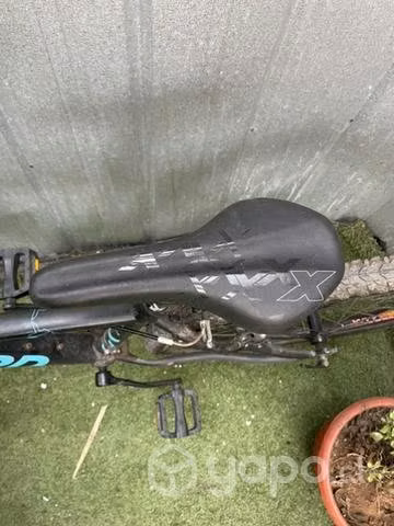 Bicicleta Oxford Venus 1