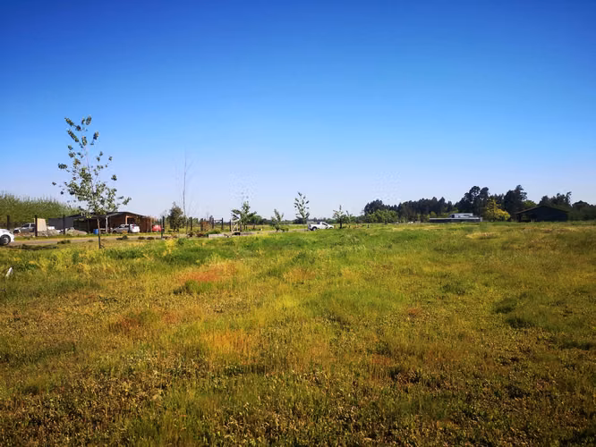 Parcela en Condominio Junquillar Talca