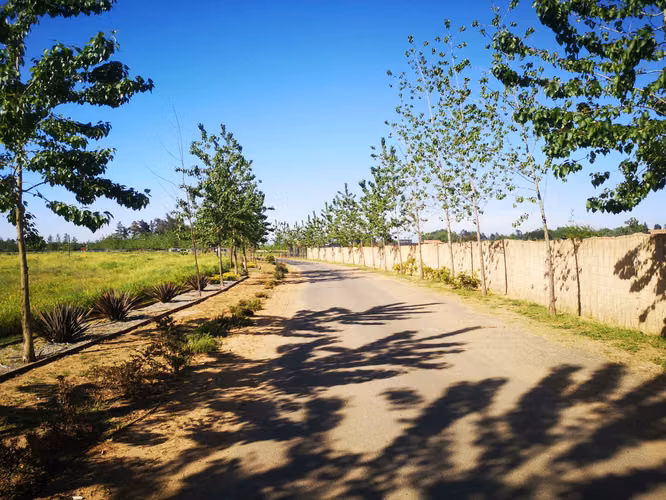 Parcela en Condominio Junquillar Talca