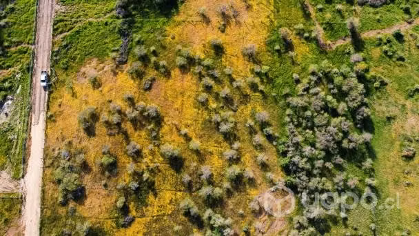 Terreno 5000m2 cerca de Chillán y Cobquecura - Imagen 2